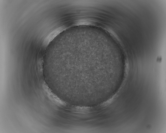 X0000112850921200909111442