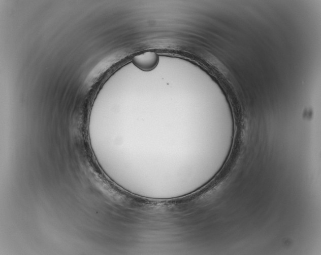 X0000112850922200909111442