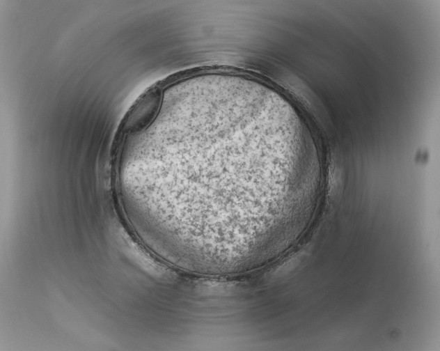 X0000112850924200909111442