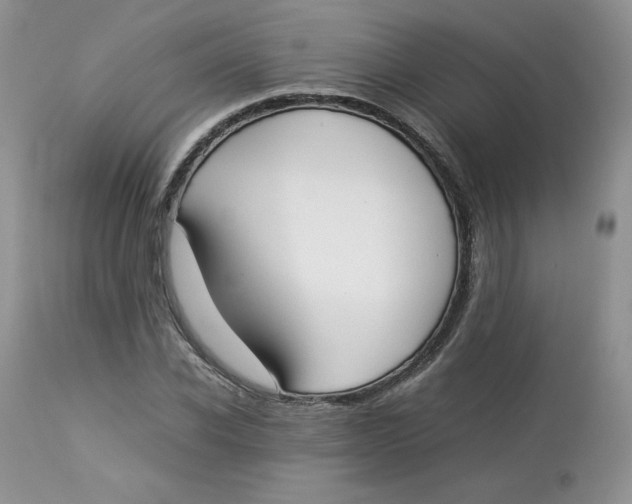 X0000112850926200909111442