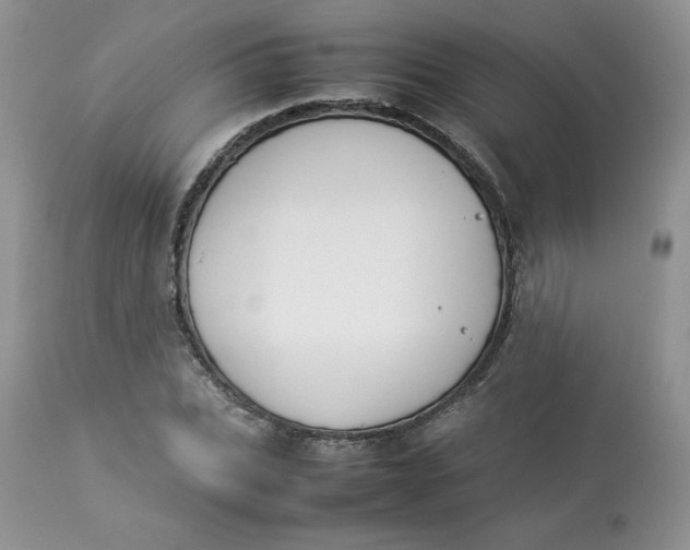 X0000112850927200909111442