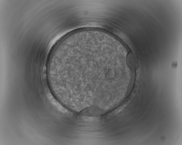 X0000112850928200909111442