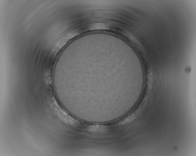 X0000112850929200909111442