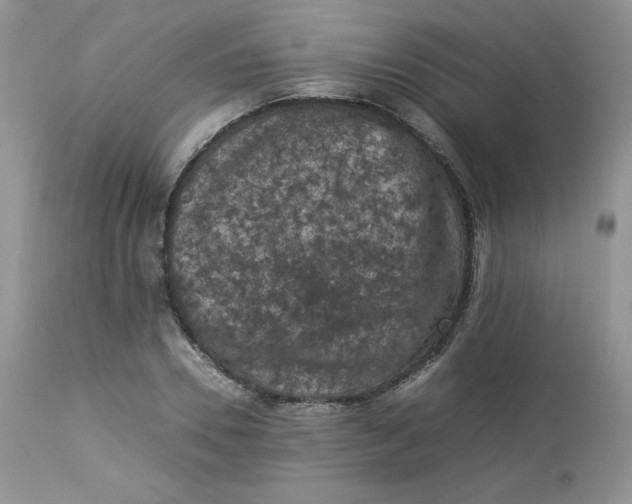 X0000112850930200909111442