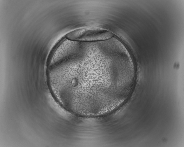 X0000112850932200909111442