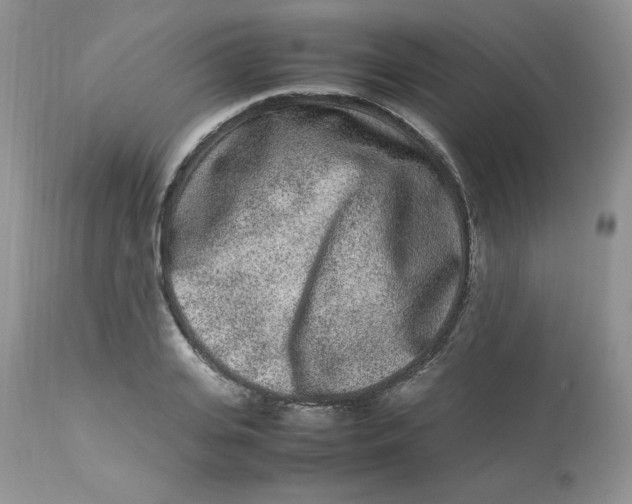 X0000112850935200909111442