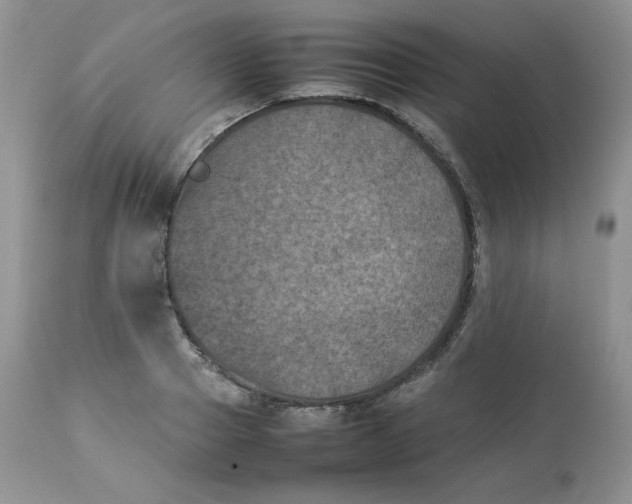 X0000112850937200909111442