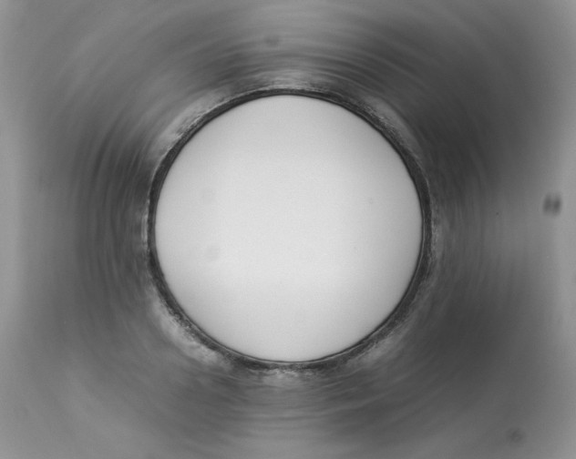 X0000112850938200909111442