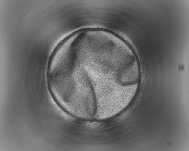 X0000112850943200909111442