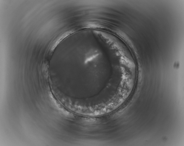 X0000112850945200909111442