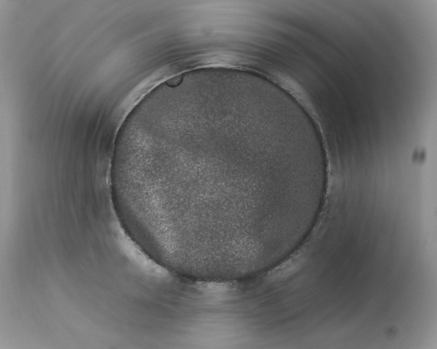 X0000112850946200909111442