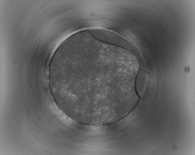 X0000112850948200909111442