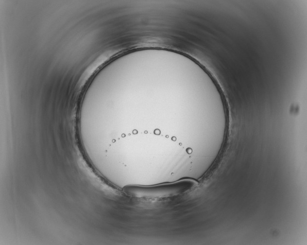 X0000112850949200909111442