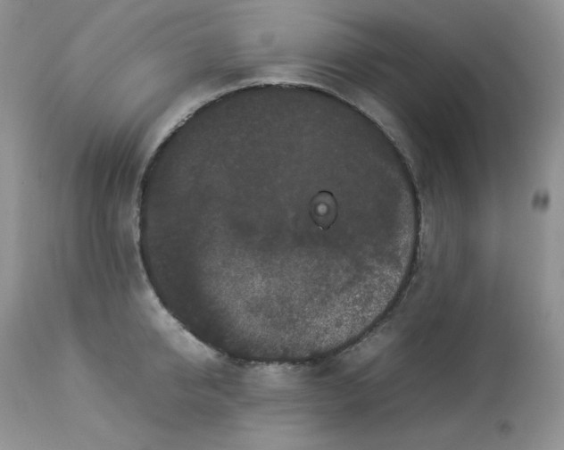 X0000112850950200909111442