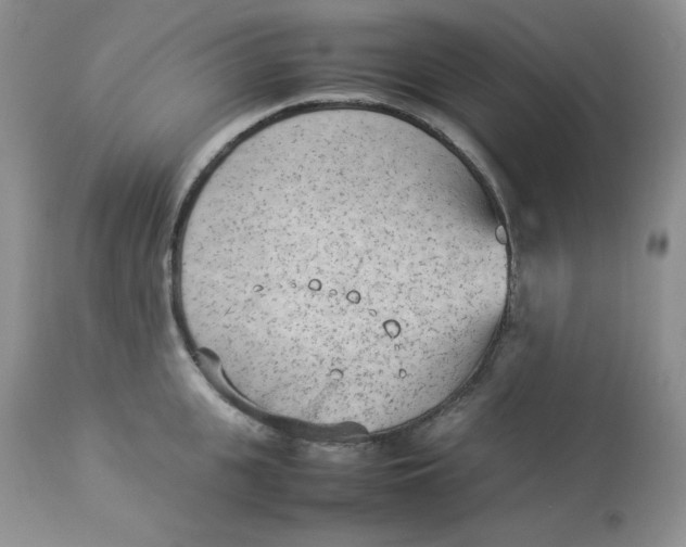 X0000112850951200909111442