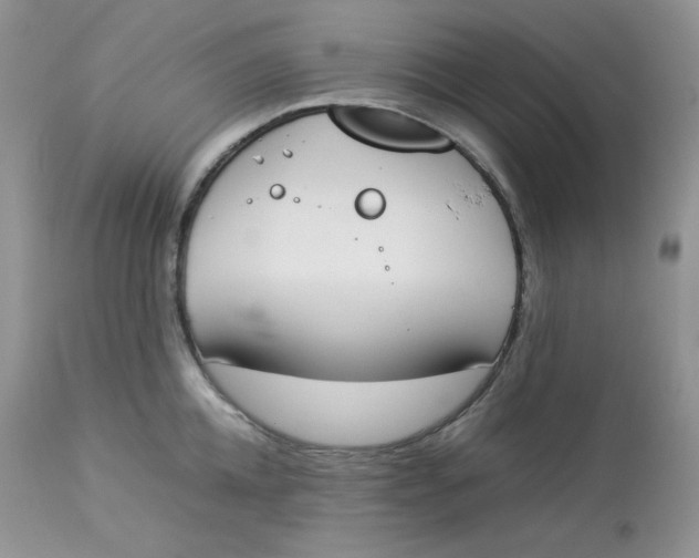 X0000112850952200909111442