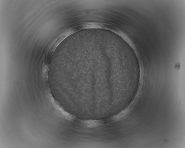 X0000112850953200909111442