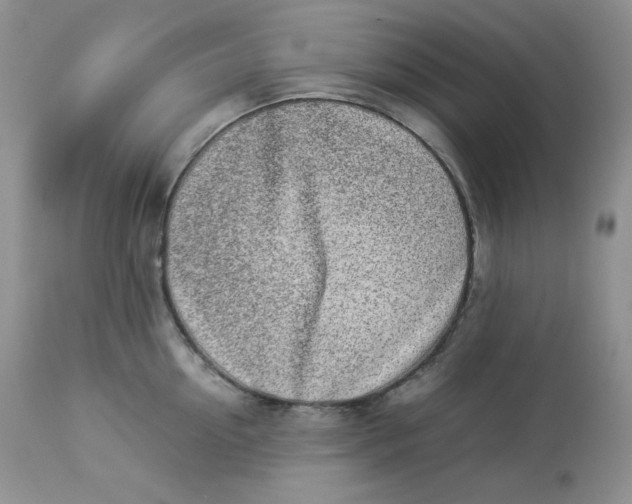 X0000112850954200909111442