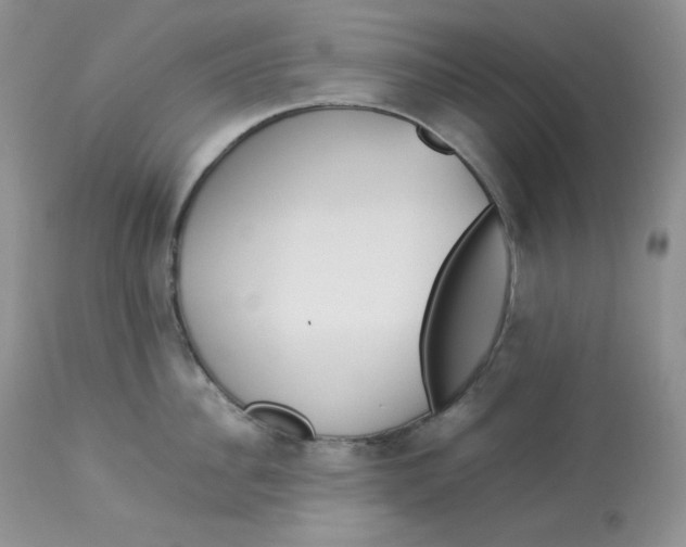 X0000112850956200909111442