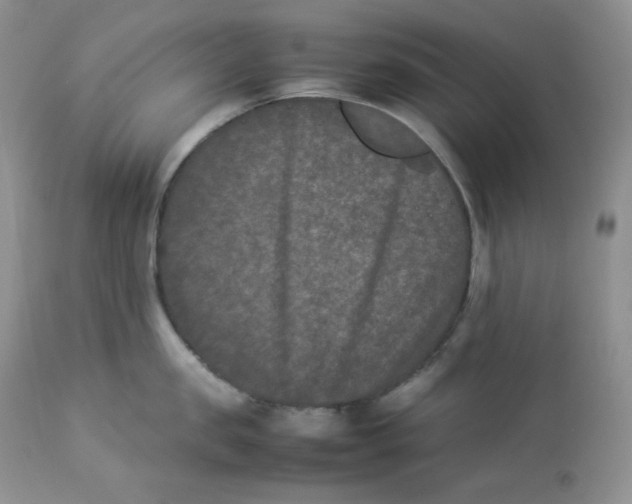 X0000112850957200909111442