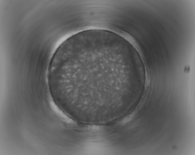 X0000112850958200909111442