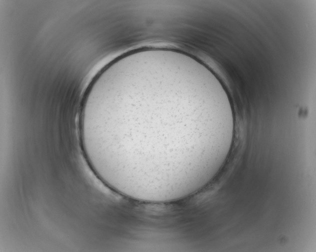 X0000112850959200909111442