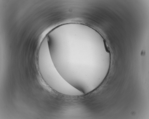 X0000112850960200909111442