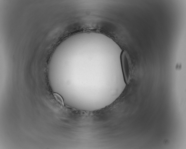 X0000112850961200909111442