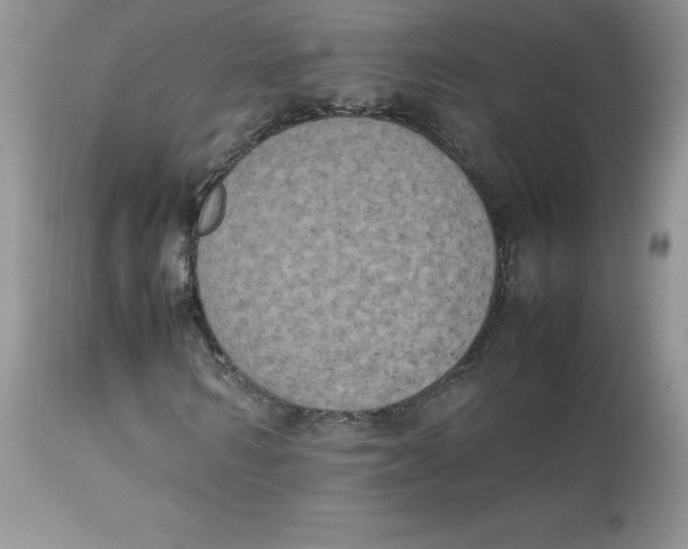 X0000112850962200909111442