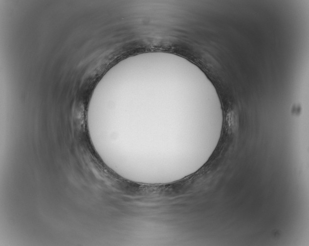 X0000112850963200909111442