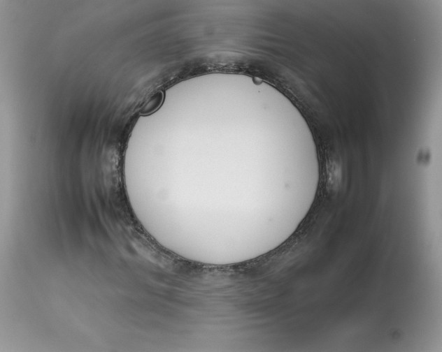 X0000112850964200909111442