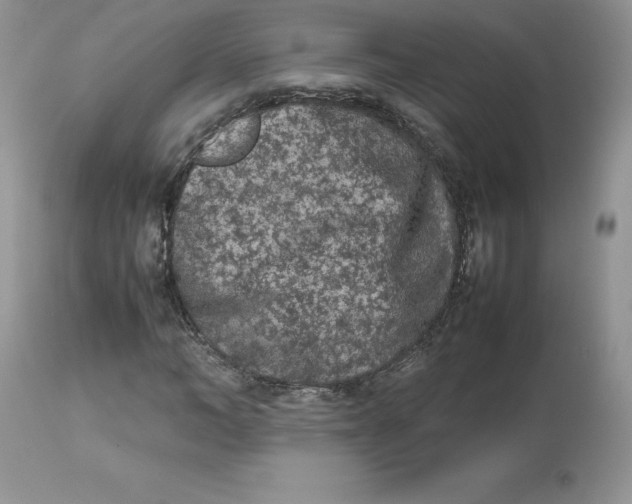 X0000112850966200909111442