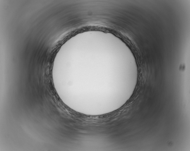 X0000112850968200909111442