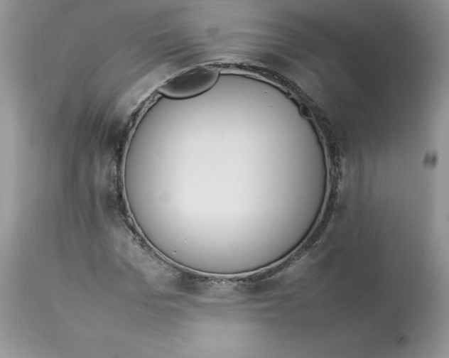 X0000112850969200909111442