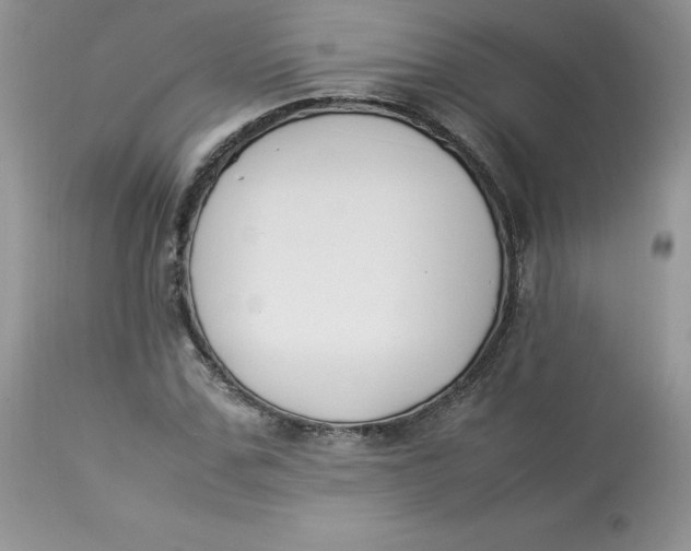 X0000112850971200909111442