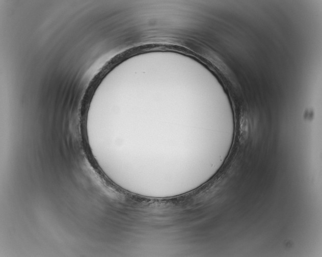 X0000112850972200909111442