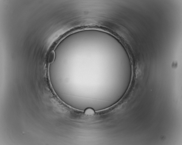 X0000112850973200909111442