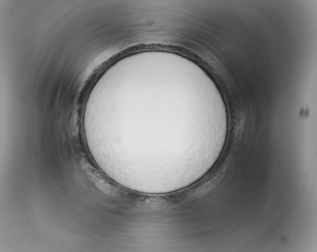 X0000112850974200909111442