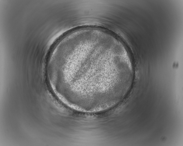 X0000112850975200909111442