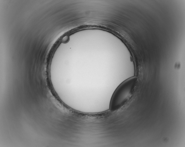 X0000112850976200909111441