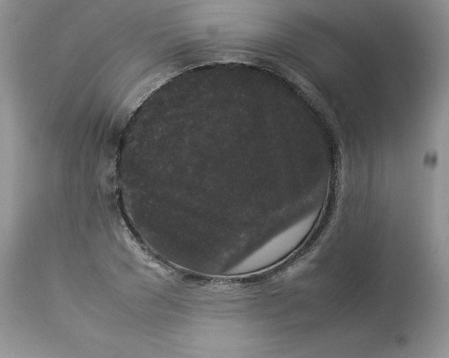 X0000112850977200909111441