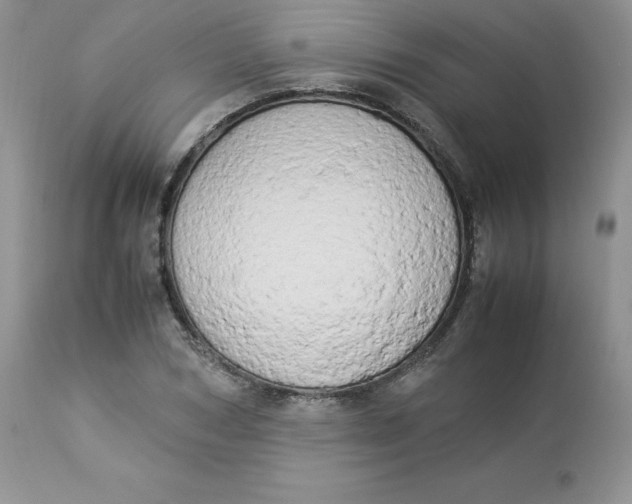 X0000112850978200909111441