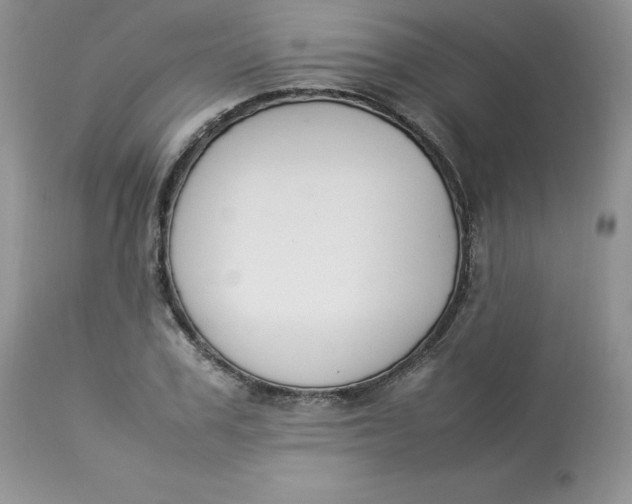 X0000112850979200909111441