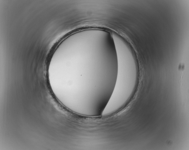 X0000112850981200909111441