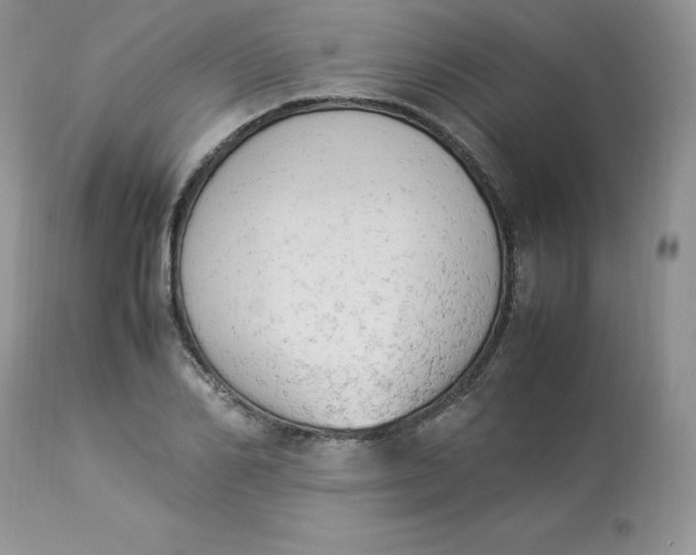 X0000112850982200909111441