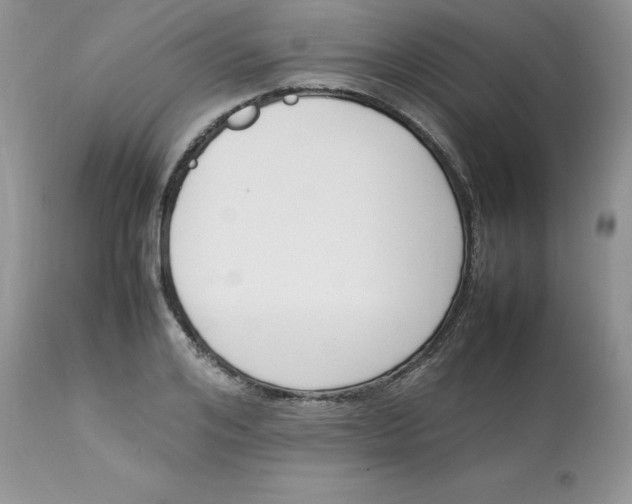 X0000112850984200909111441