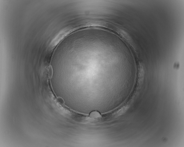 X0000112850985200909111441