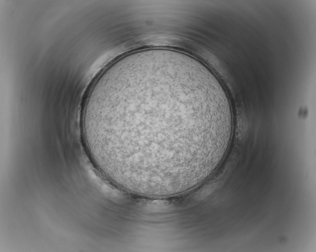 X0000112850986200909111441