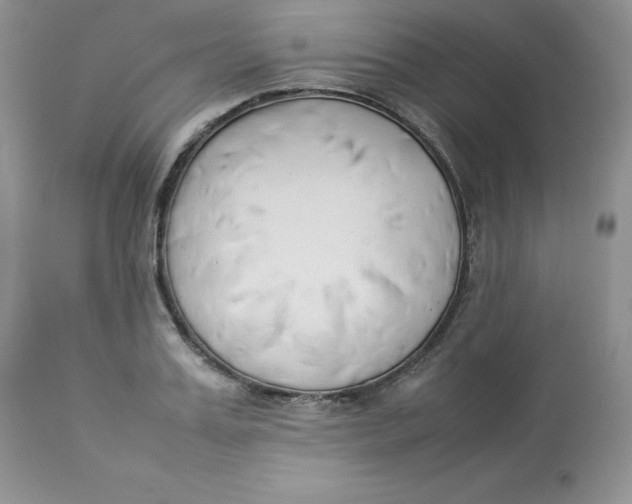 X0000112850987200909111441