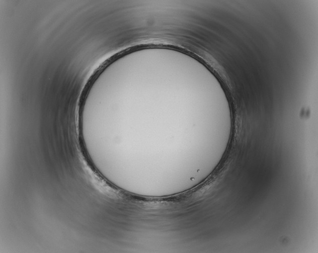 X0000112850988200909111441